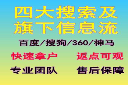 SEM主管实战技巧：案例分享与解读
